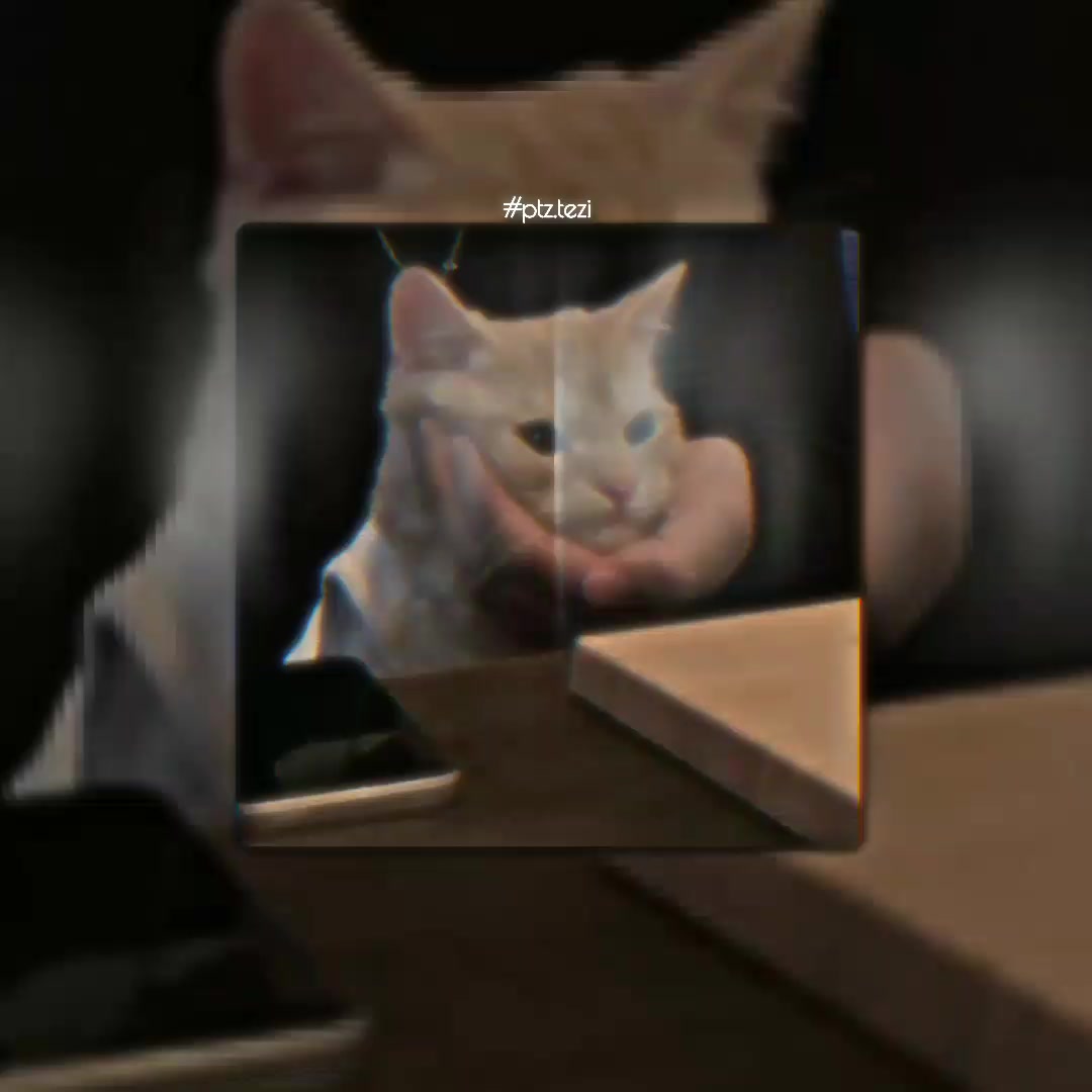 @#𝙋𝙝𝙖𝙩𝙎𝙥𝙚𝙚𝙙.!