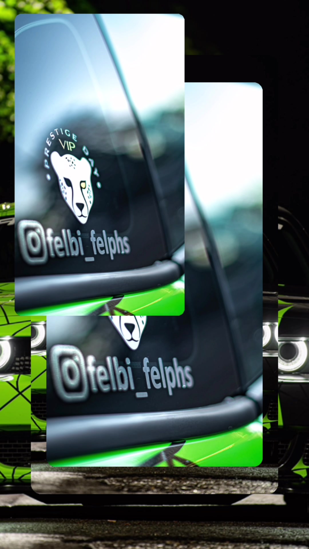 @@felbi_felphs 🌟