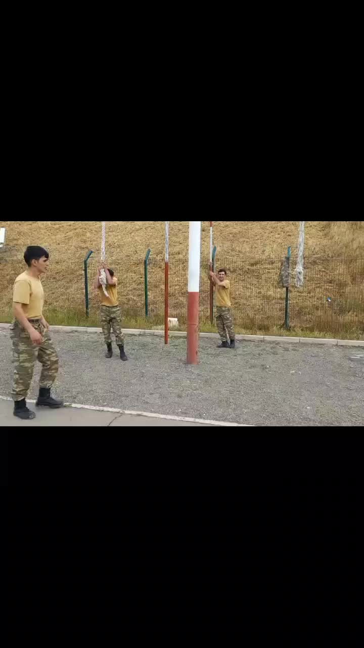 @🤴