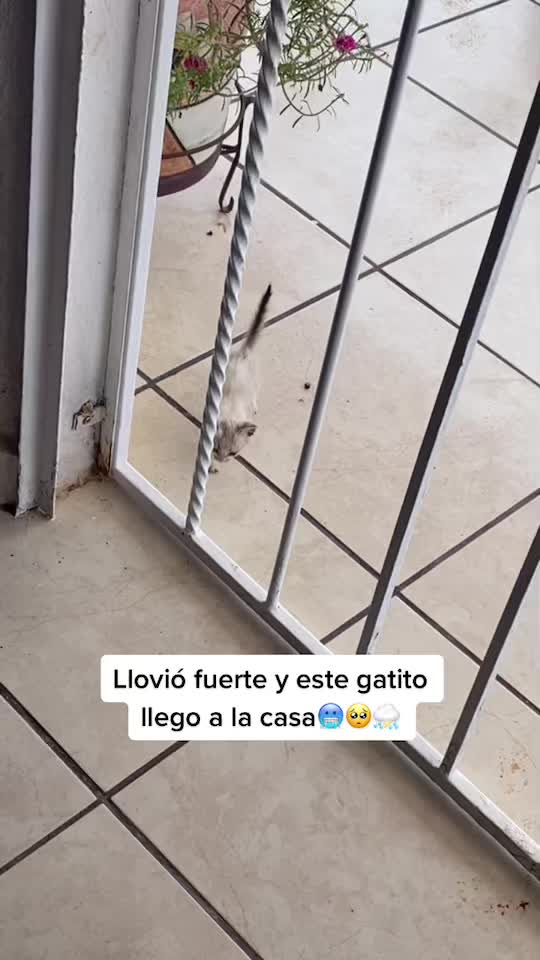 @Lilo Bebesita