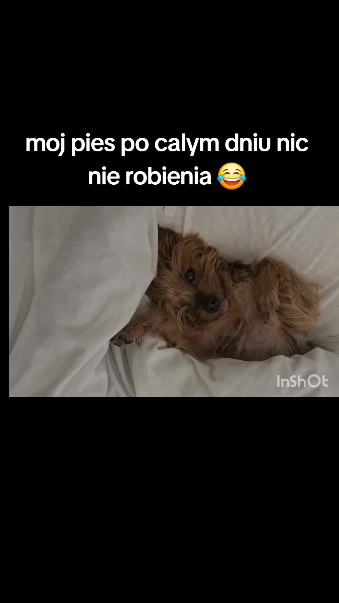 @Ewelina Bednarska