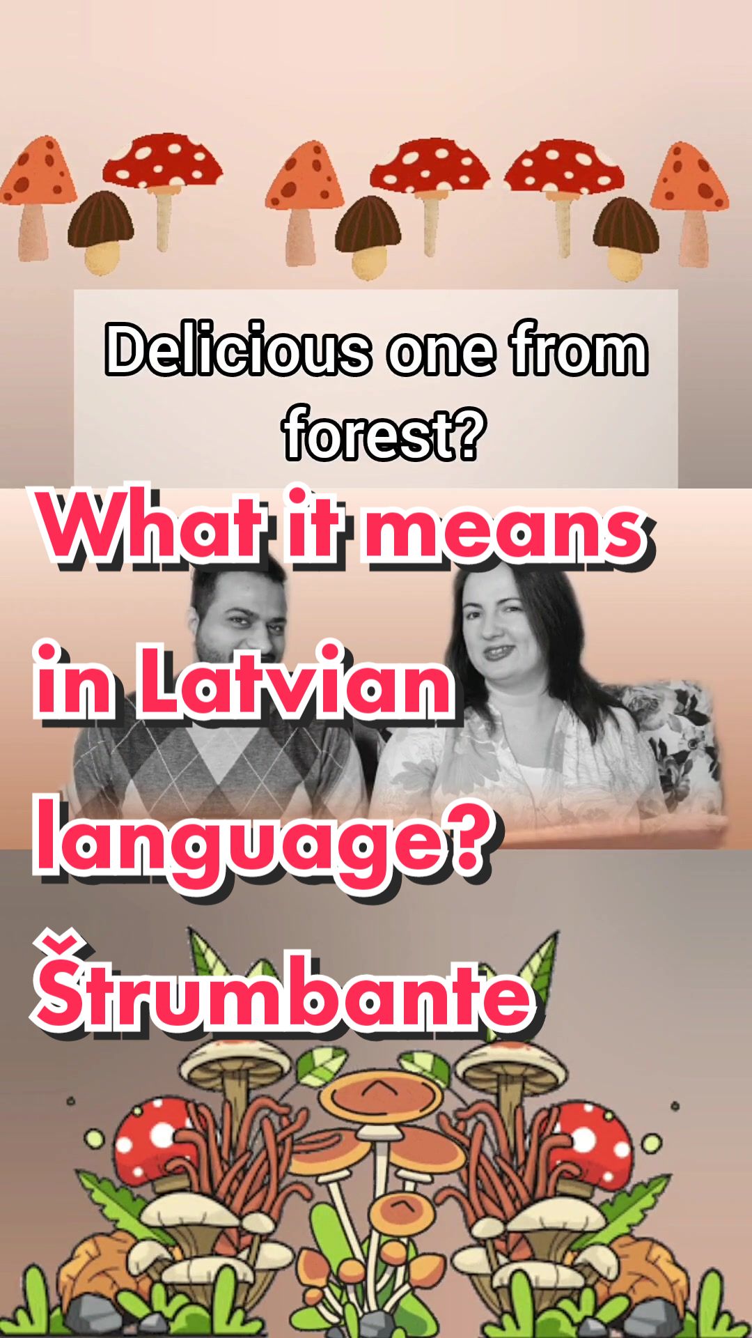 @Latvian Tutor