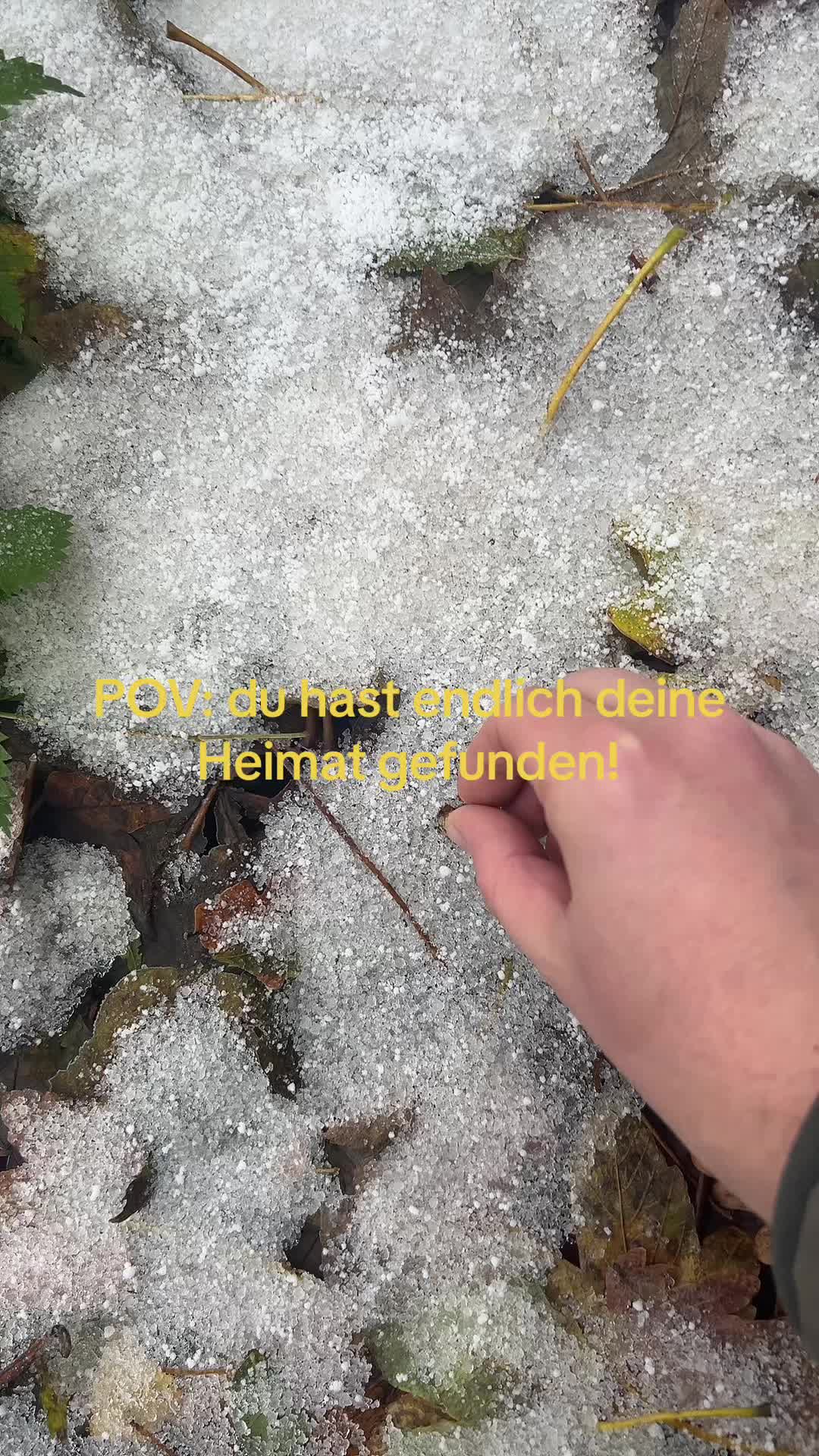 @CHILL.TILL.KILL x Müllottos