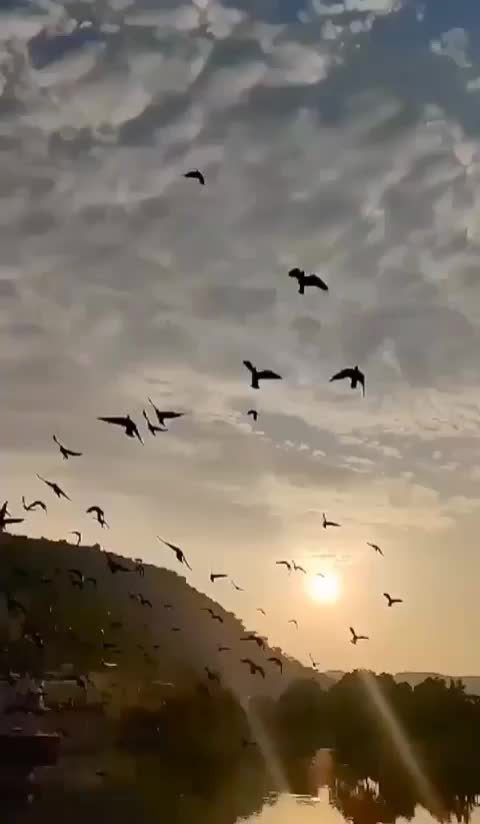 @queenofboldness
