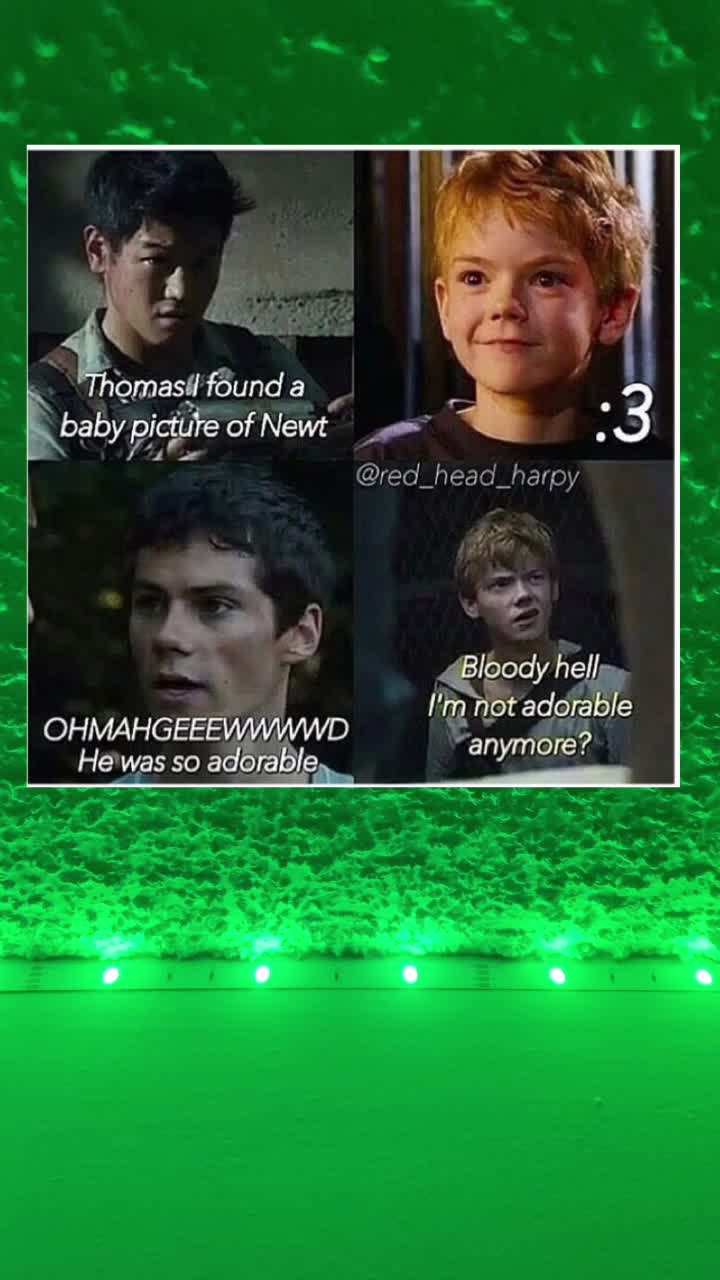 @Maze runner