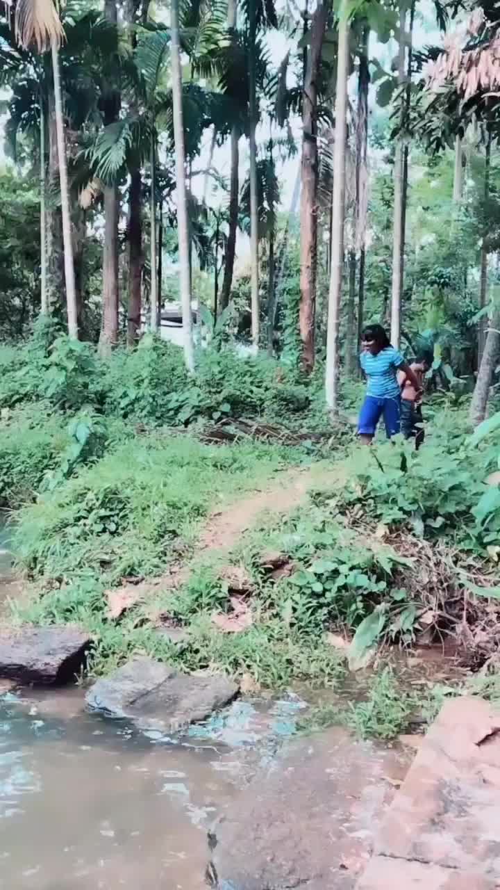 @kuttan