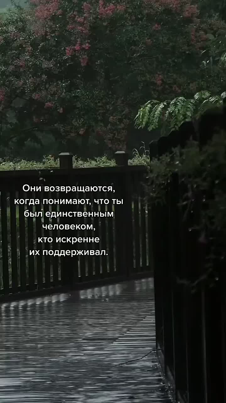 @𝒫𝑒𝓉𝑜🤍