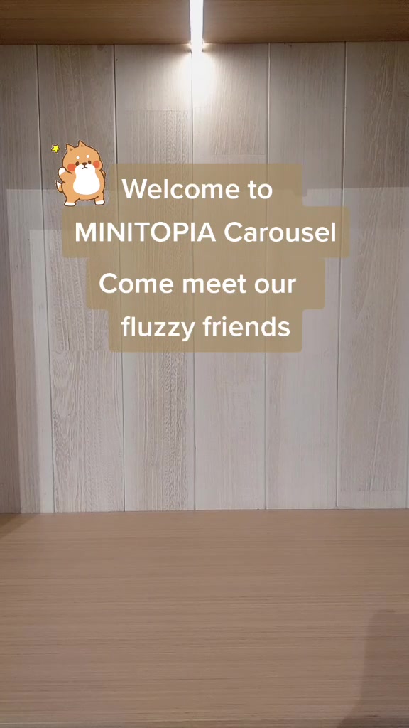 @Minitopia