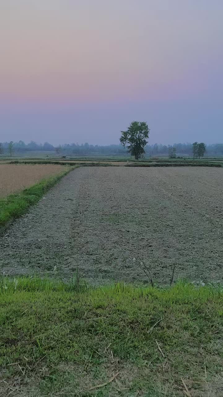 @Lilambarkumar