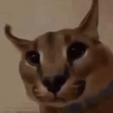 @Larger Potato
