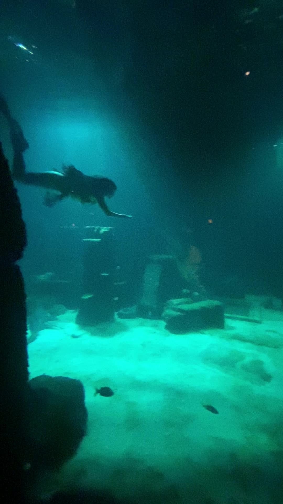 @Moon Mermaid ๐