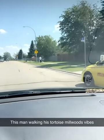 @Yeg crazy news