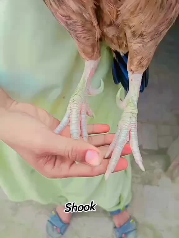 @🕷️😈⚢MOEEN⚢😈🕷️
