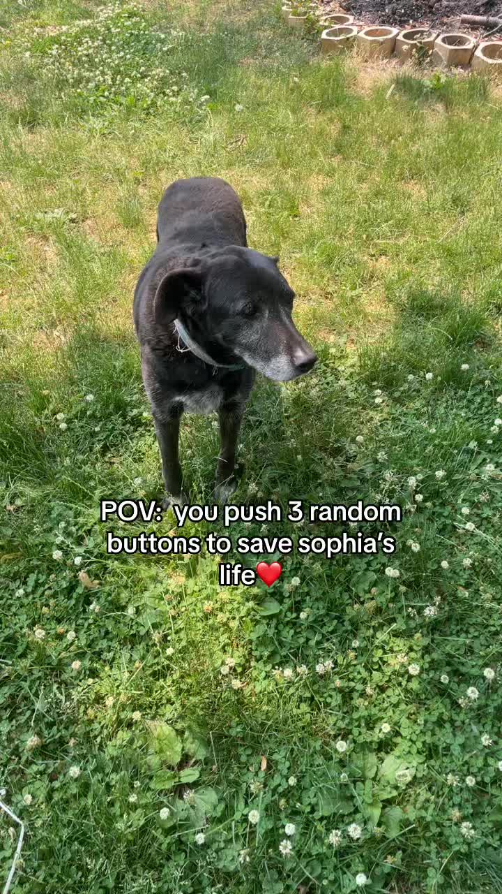 @emily