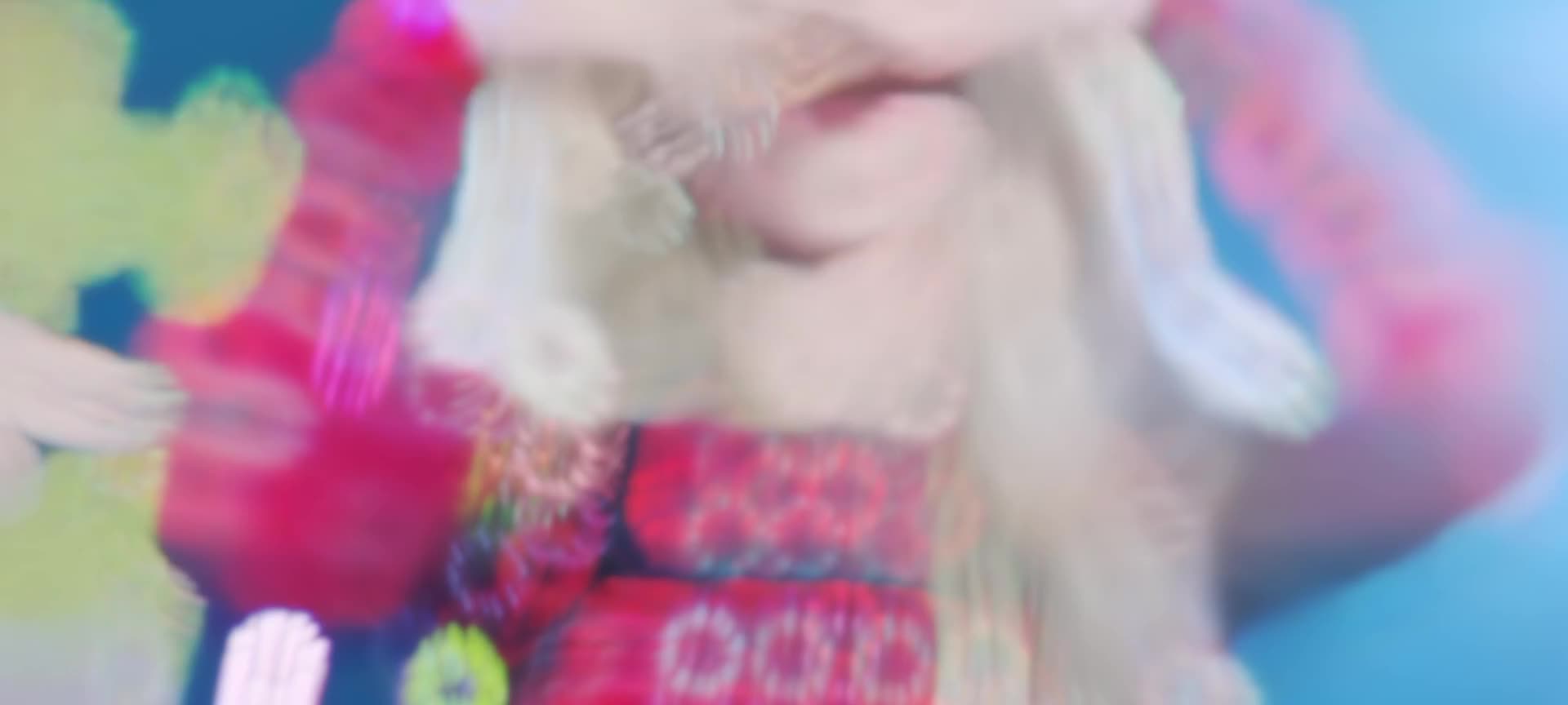 @호랑이서🐯