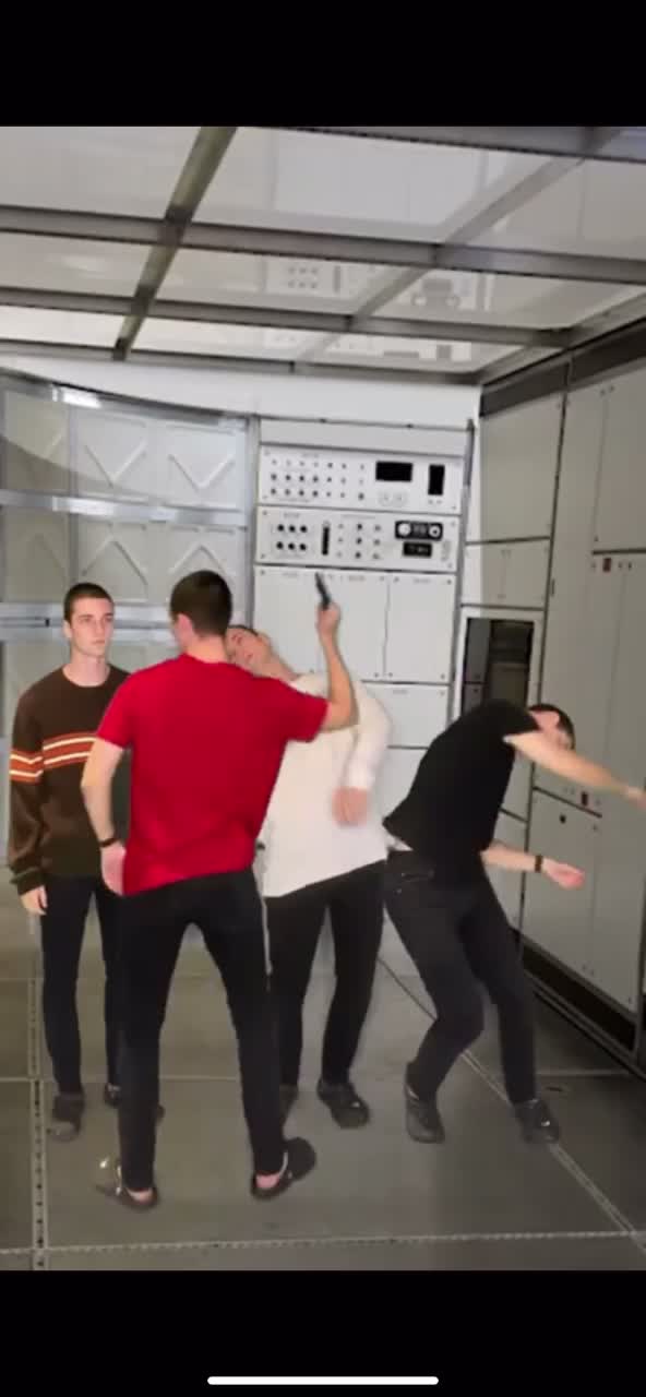 @When_animals_attack