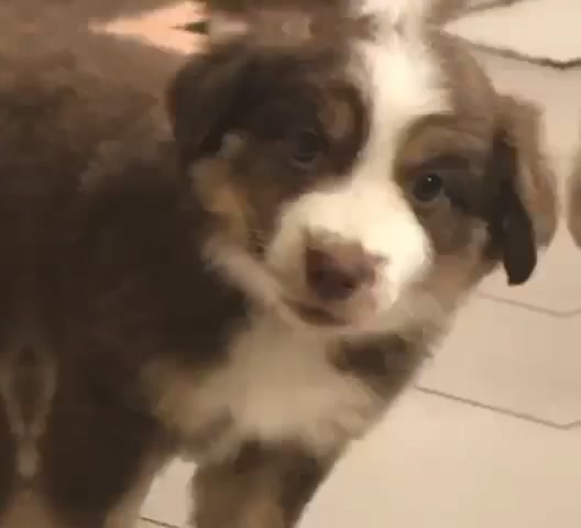 @ᗷoᗷo! 🧸