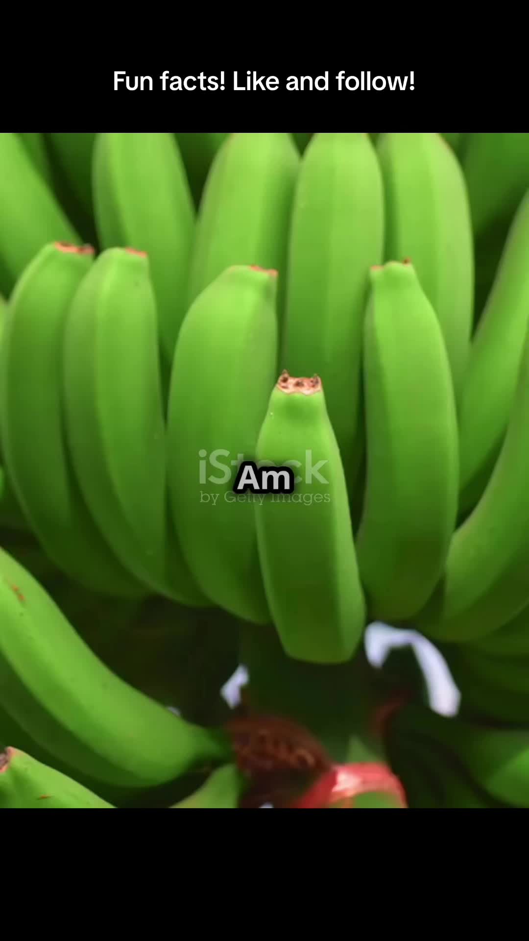 @RandomClips