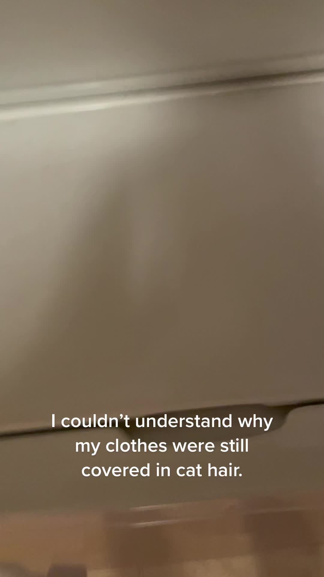 @Raja and Floof