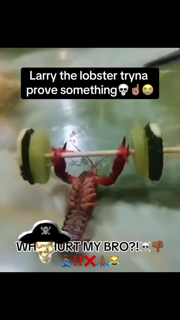 @TheSniffer