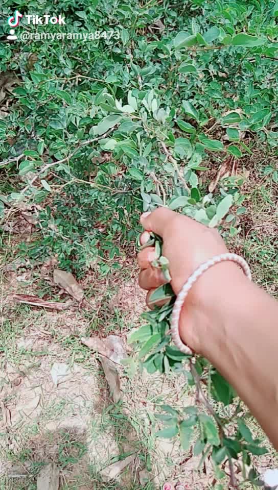 @user90765159679