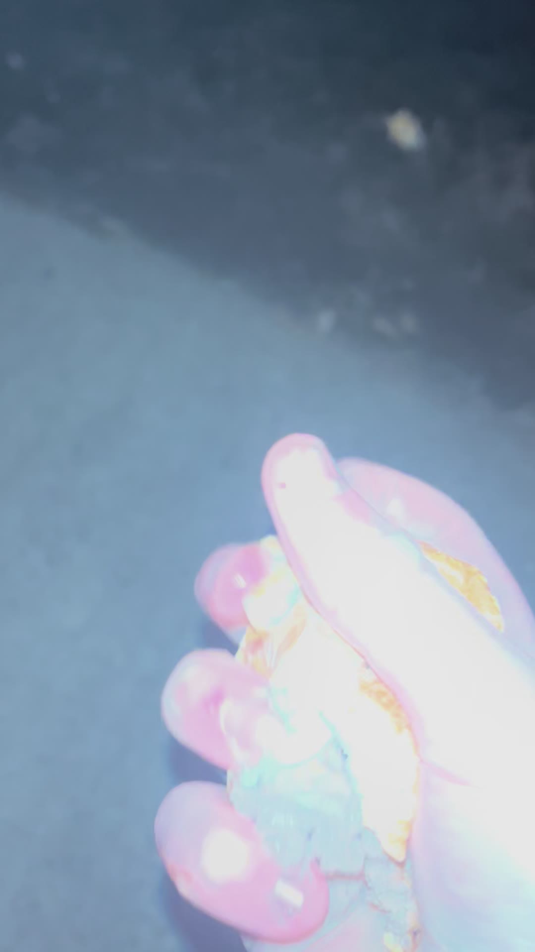@SeeYouNextTuesday27