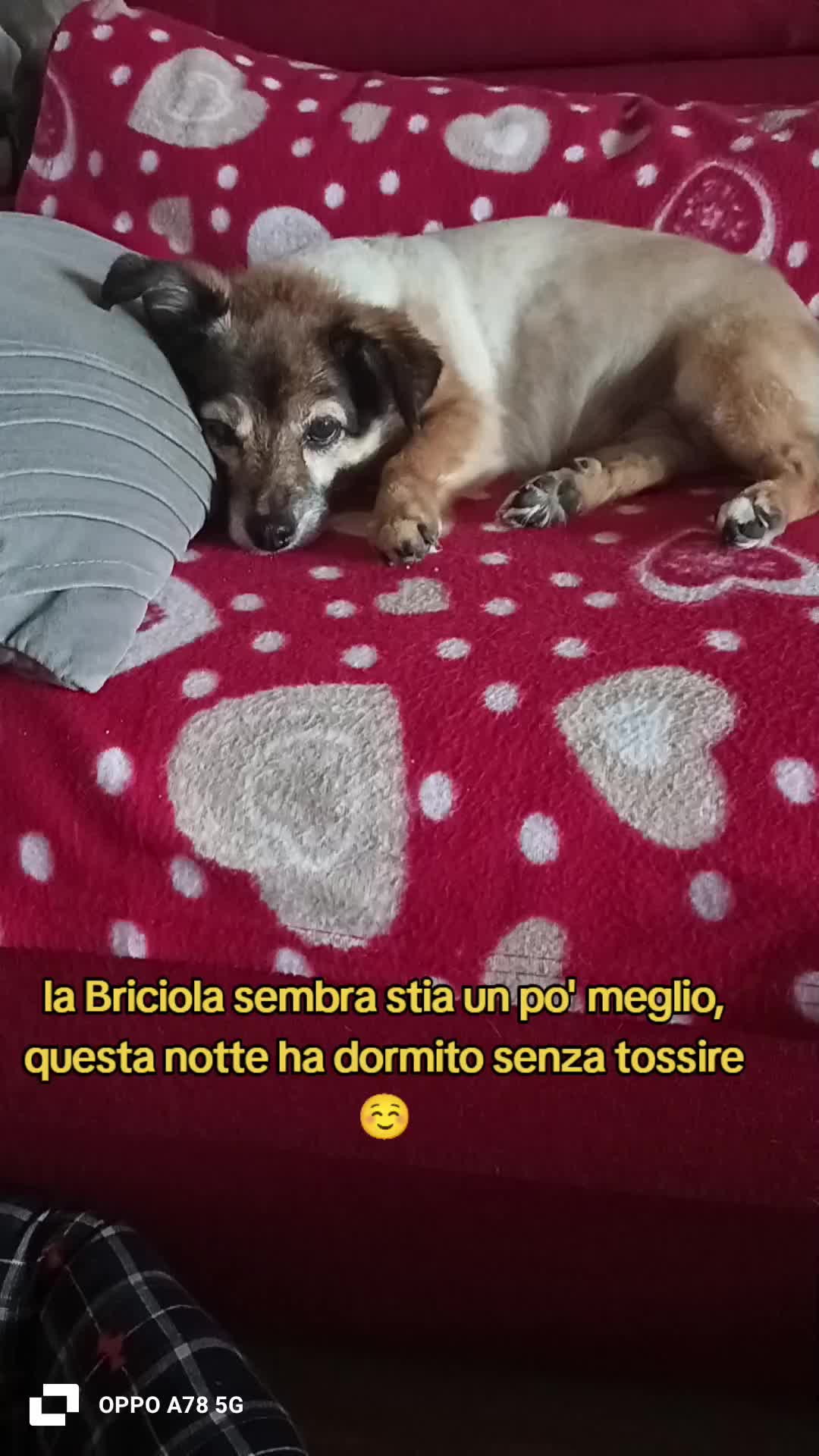 @briciola221dina24