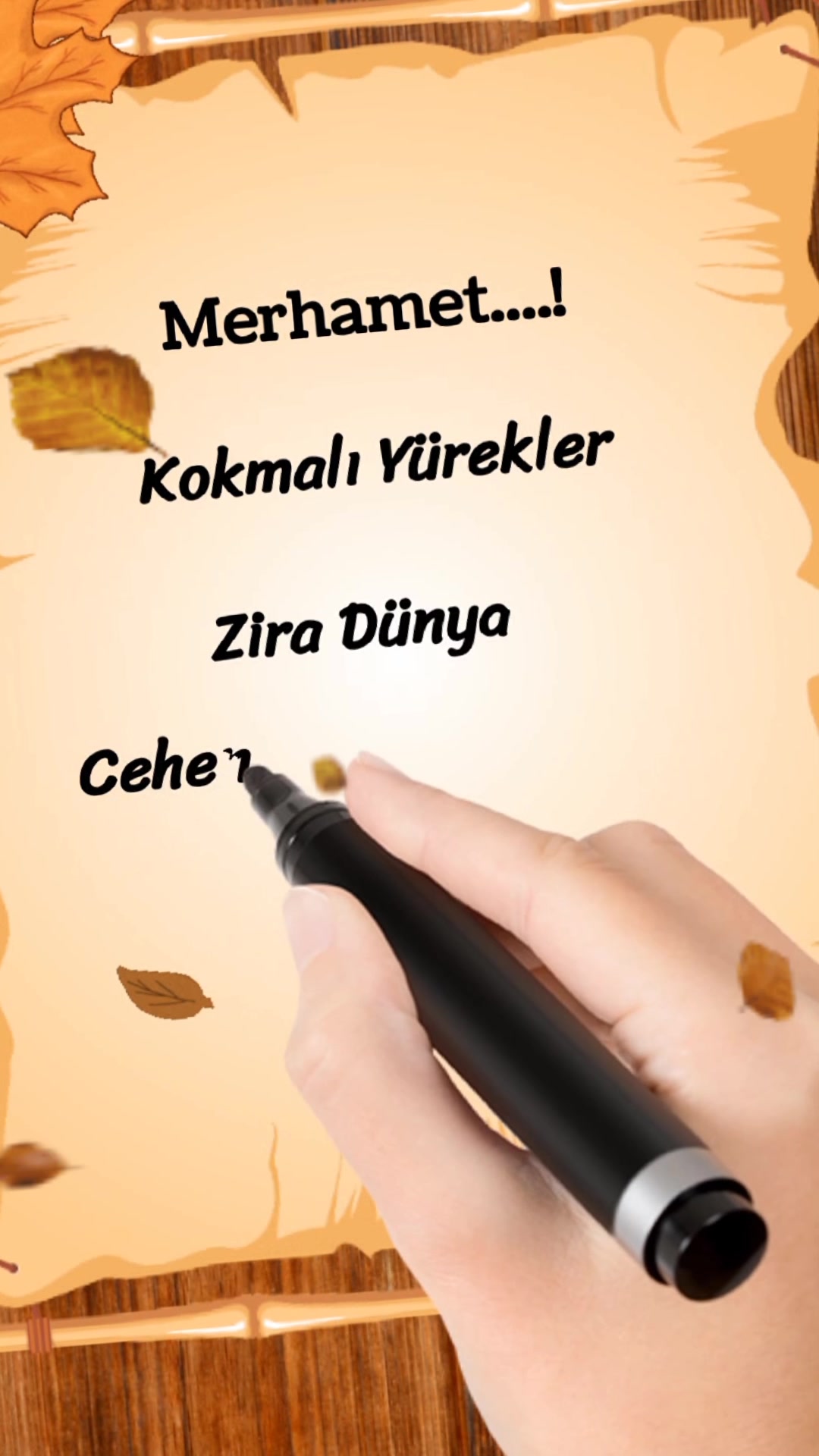 @kelebeğin d&uuml;nyası