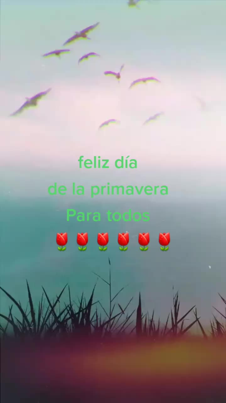 @Diego Vega El Zorro
