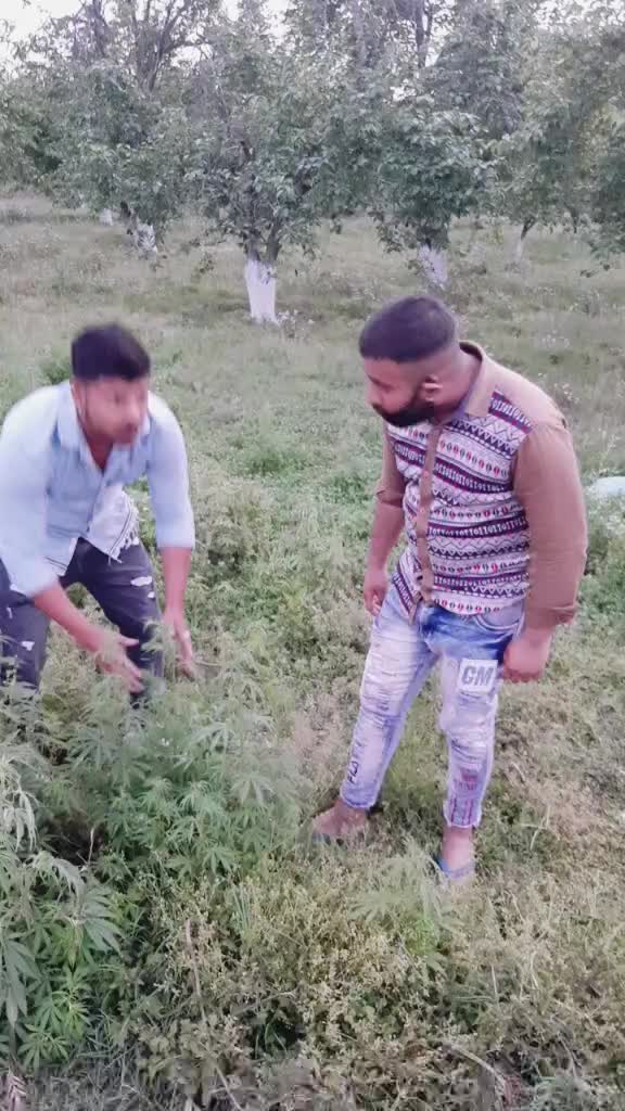 @Shahrukh sabri