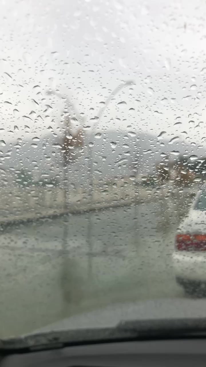 @Yüksel Eren