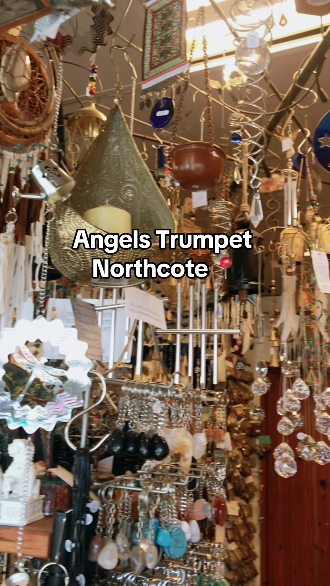 @Angels Trumpet 🌙