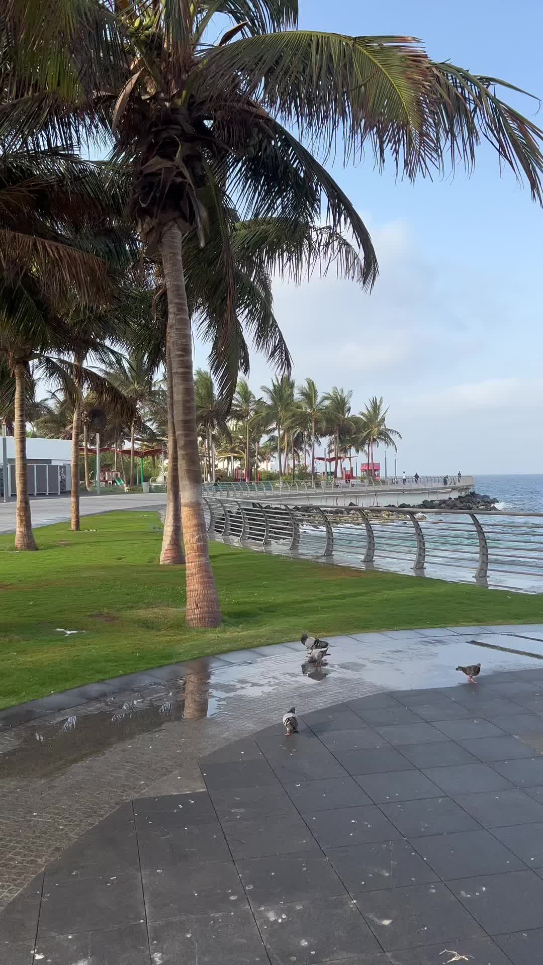@خالد جمعان. 🕊️