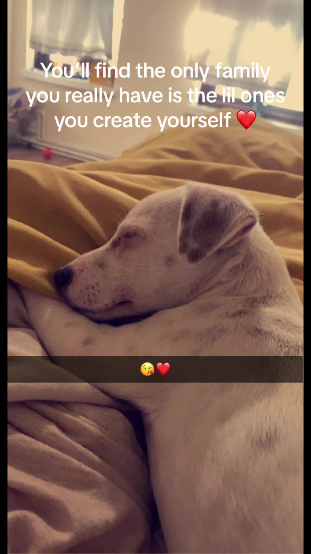 @WelshPsycho18