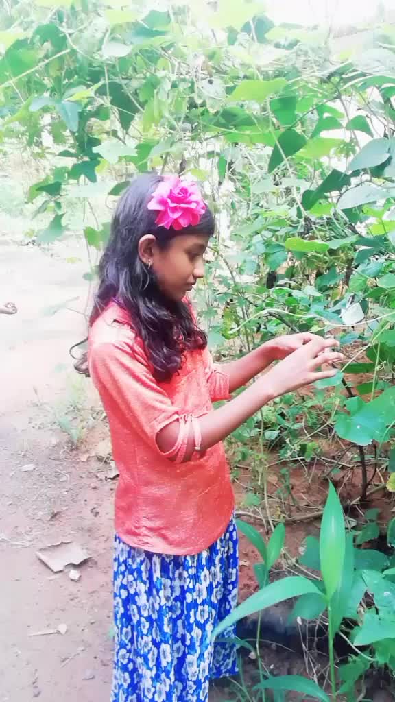 @thamburu