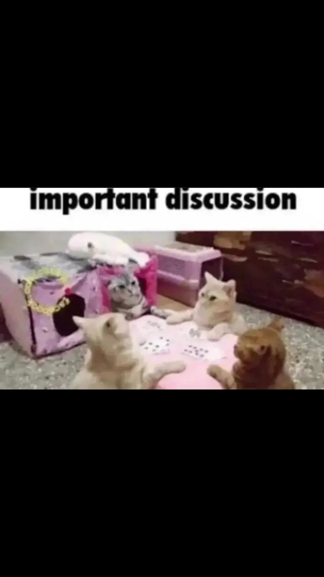 @Agustin