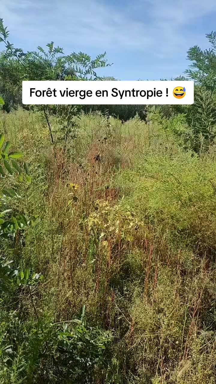 @JardinsMonPlaisir