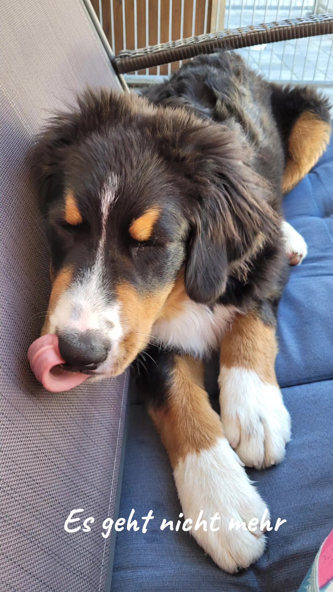 @berner.bruno