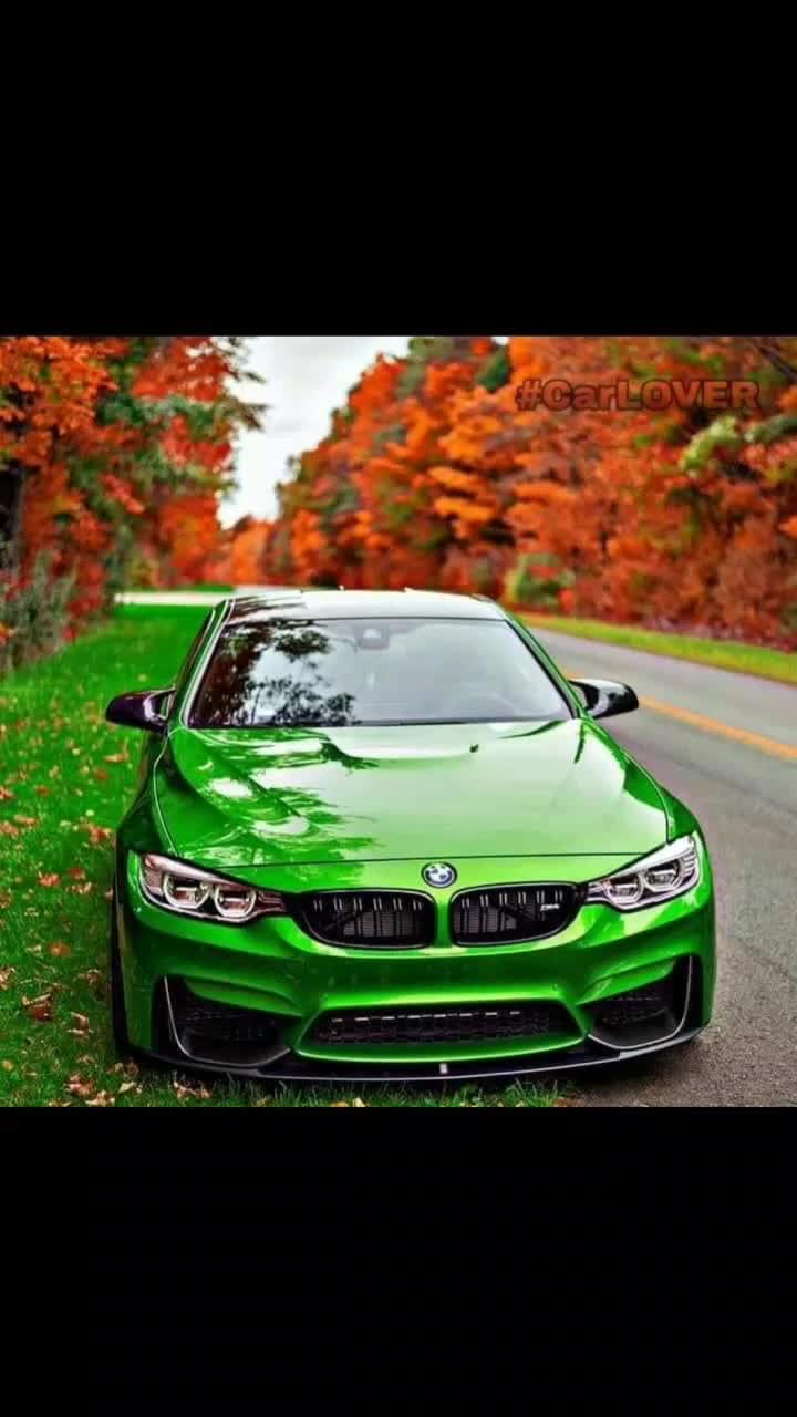 @steven_creton1701