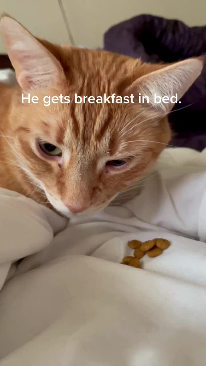 @Raja and Floof