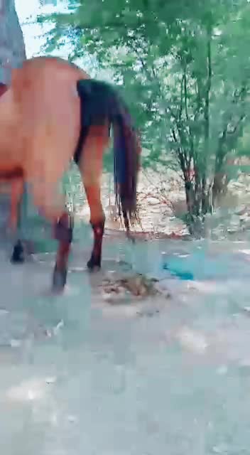 @Jakir Hothi