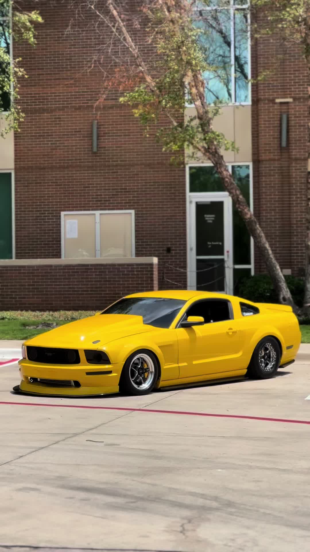@Boosted Banana