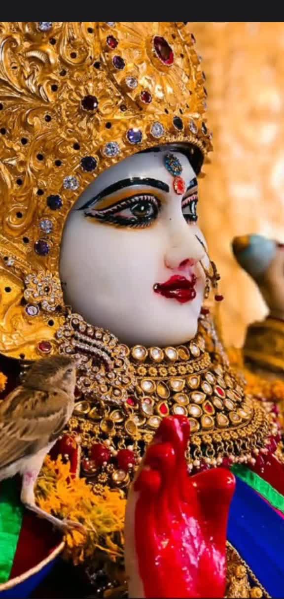 @Gopal_Thakor9898