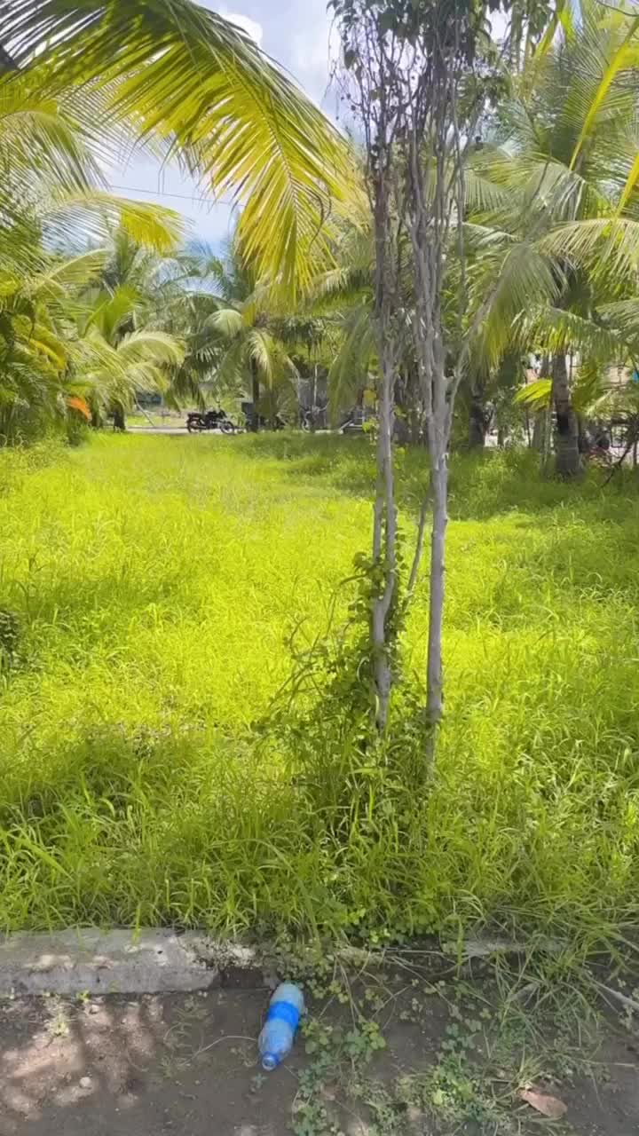 @user21270432777