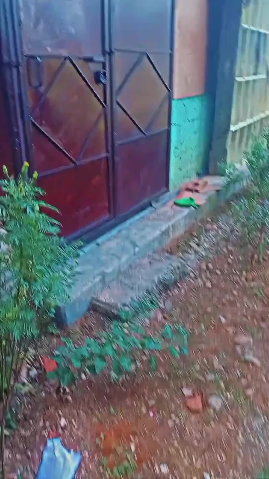 @its_Master_family