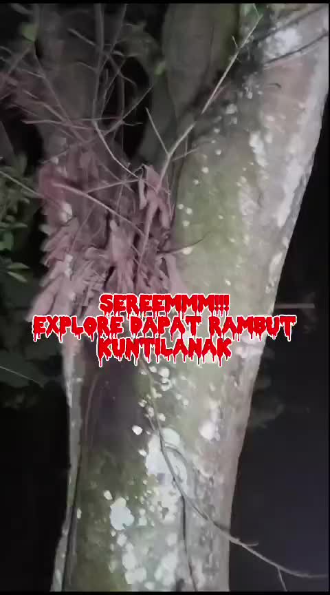 @AKAR MISTERI OFFICIAL