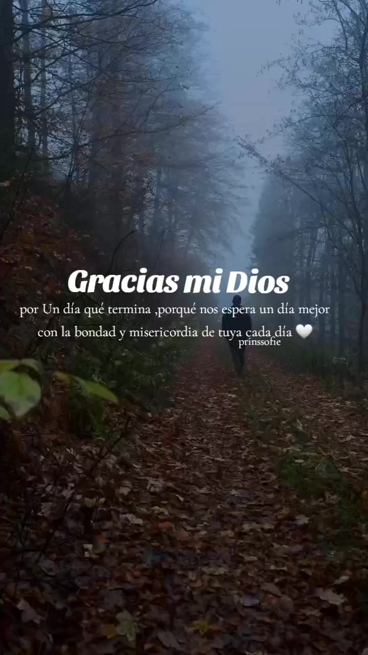 @📖✍🏼LETRAS DE PRINSS👸🤍