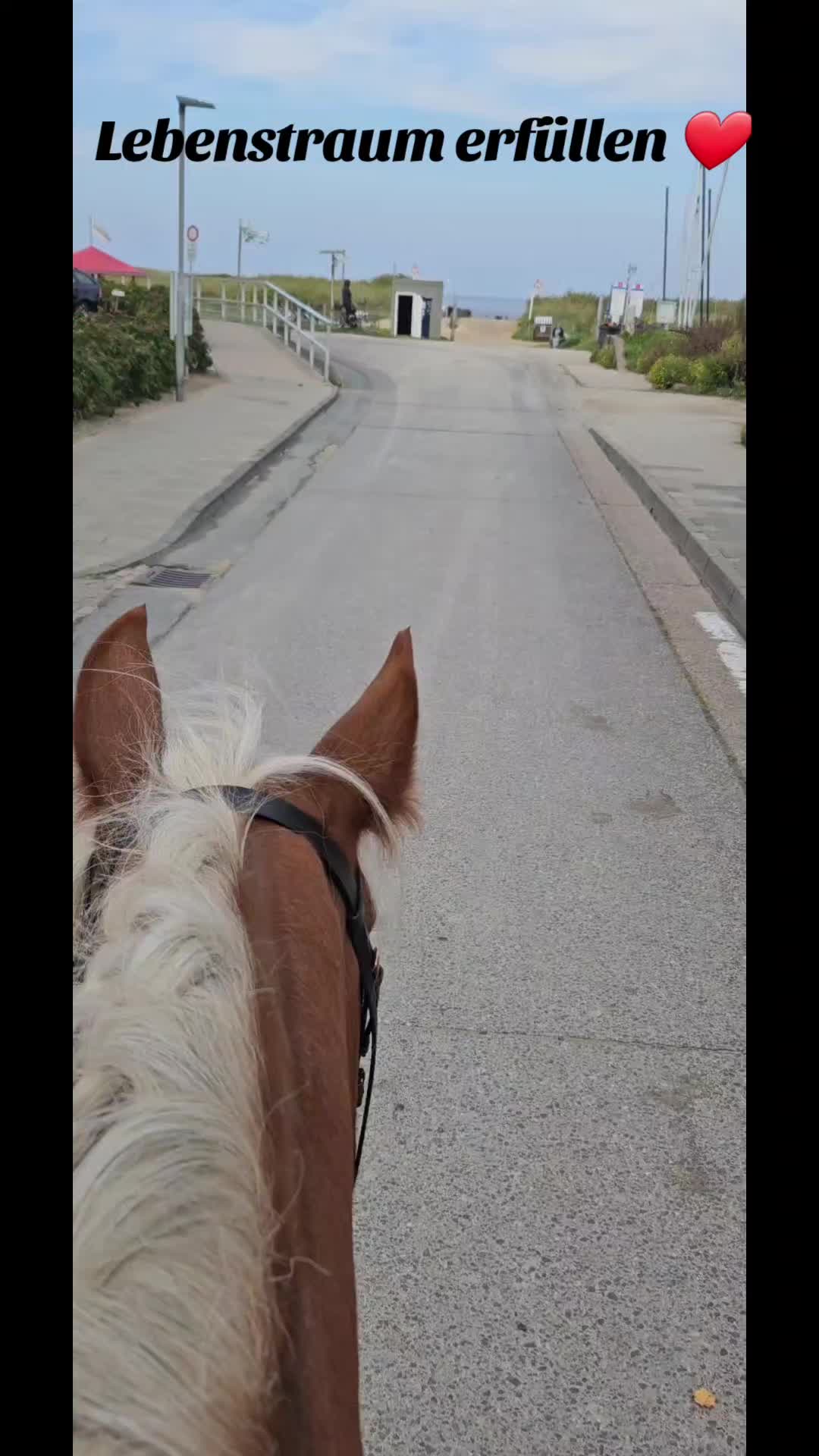 @Cora 🐴 👩🏼&zwj;🌾🐴🦄🤴🏻