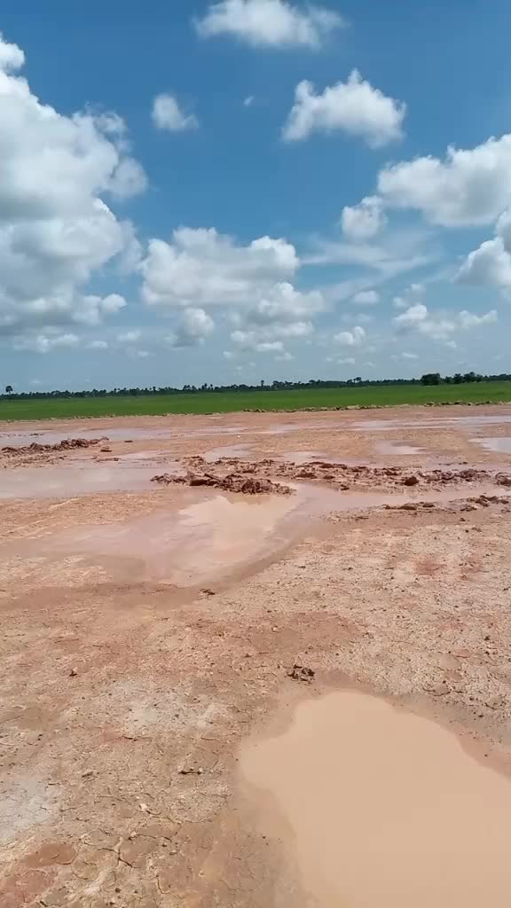 @ប្រុសស្មោះ