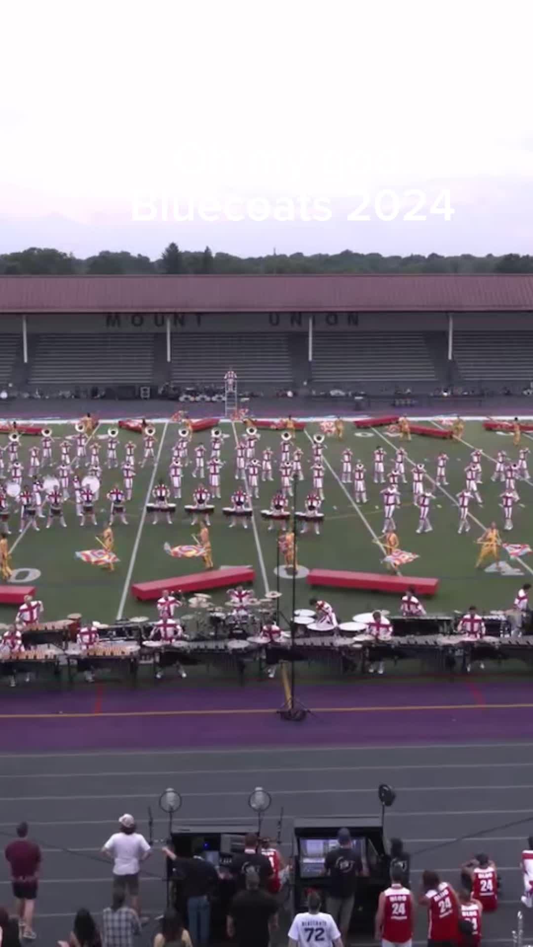 @The Marching Tapir